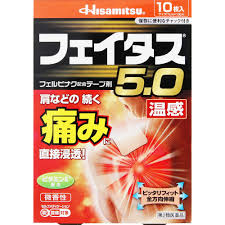 Hisamitsu Backache Knee Shoulder Joint Muscle Pain Relief 5.0 Warm Patch 10 Sheets